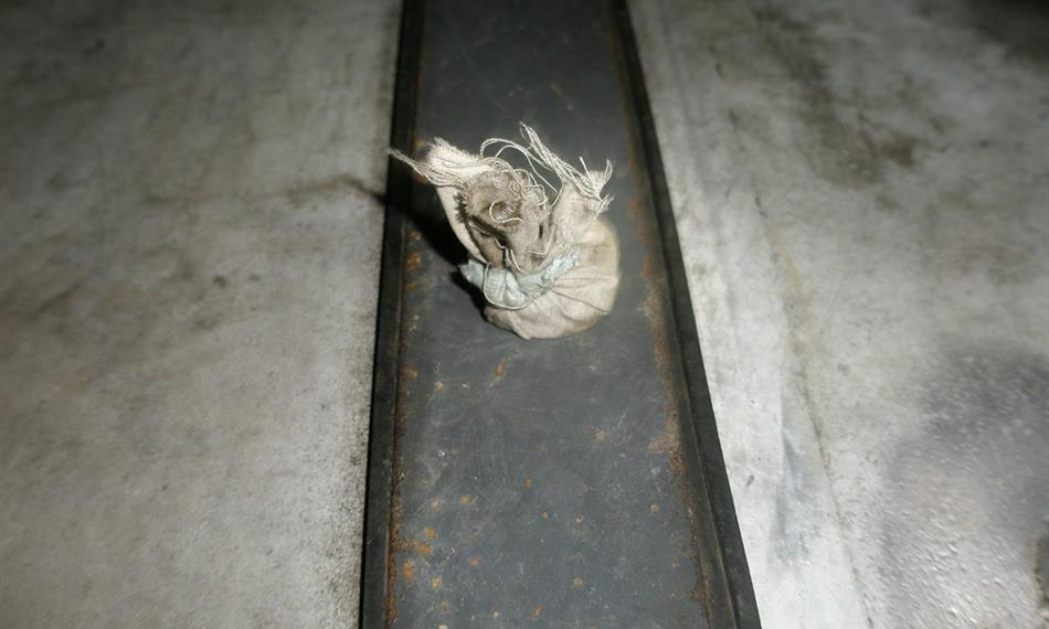 2014-5-7-823foto 4.JPG